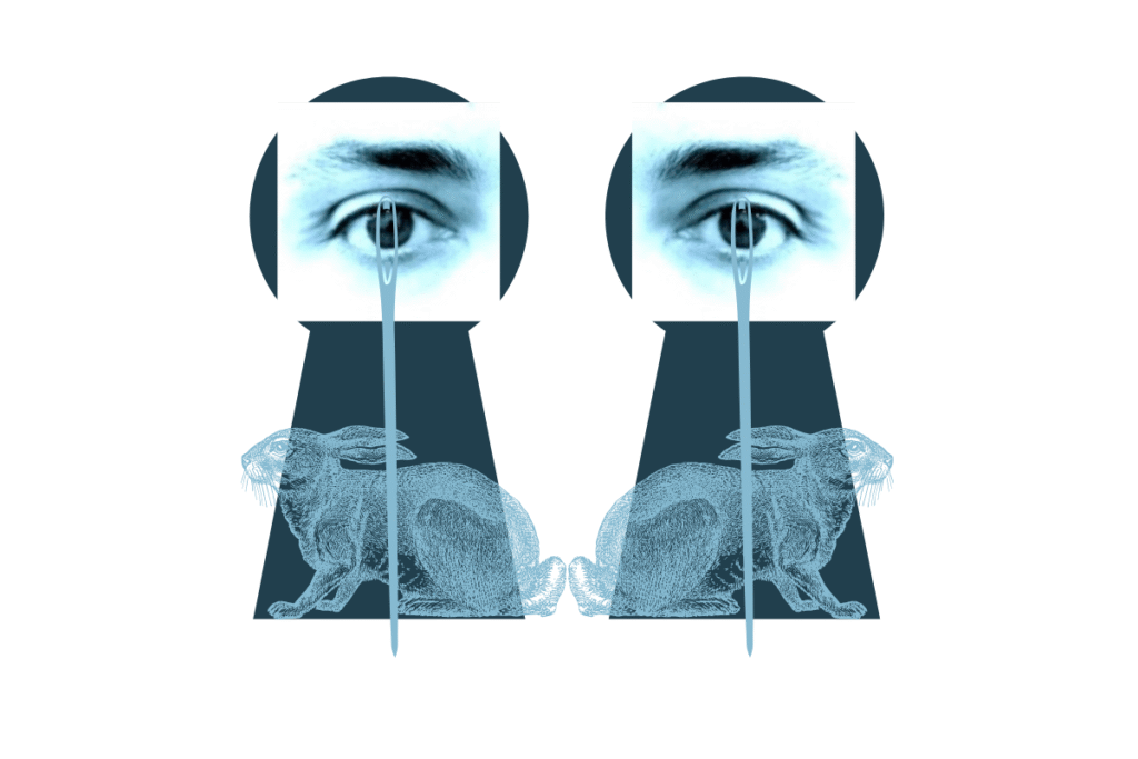 Mirrored keyholes with eyes gazing through needle’s eyes, each watched by a light blue hare.